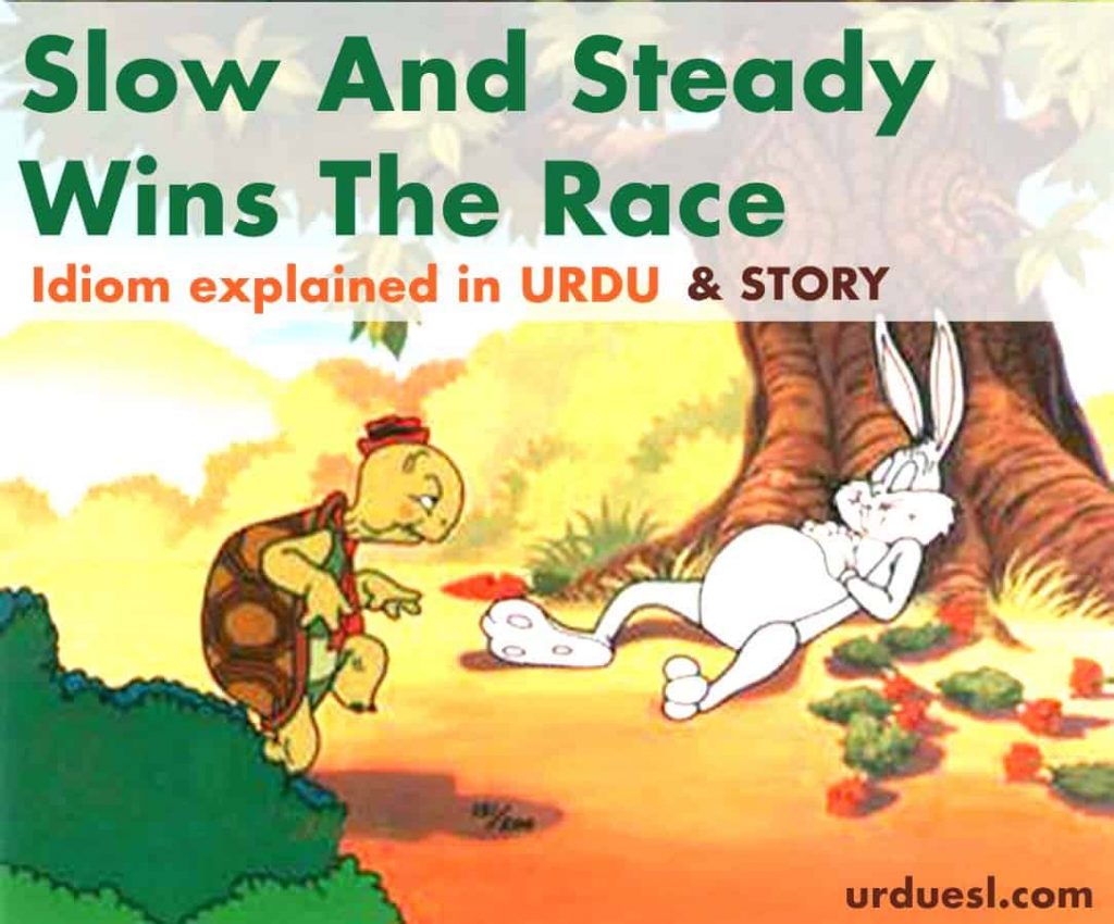 Slow And Steady Wins The Race Meaning In Urdu, story, idiom