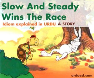 Read more about the article Slow And Steady Wins The Race Meaning In Urdu
