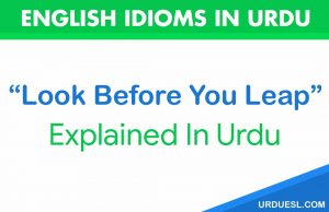 Read more about the article Look Before You Leap Meaning In Urdu