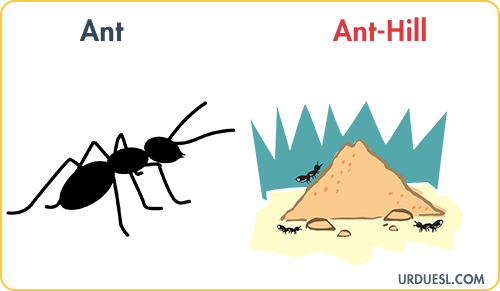 Ant Lives In Ant-Hill, Animal And Their Homes