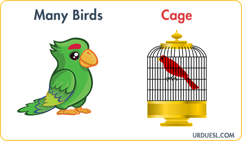 Birds Lives In cage, Animal And Their Homes