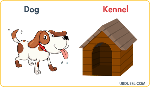 Dog Lives In Kennel, Animal And Their Homes