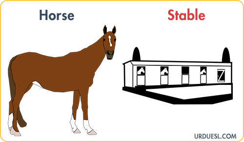 Horse Lives In Stable, Animal And Their Homes