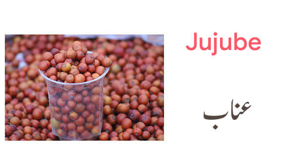 all-fruit-names-in-english-and-urdu-with-pictures-download-pdf