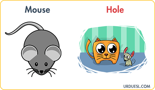 Mouse Lives In Hole, Animal And Their Homes