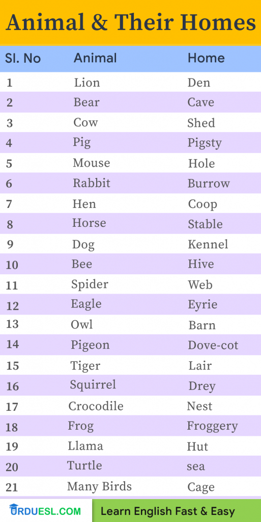 Animal And Their Homes List