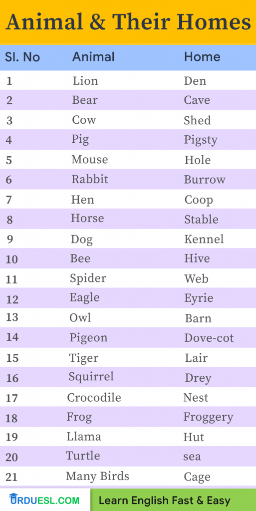 Homes Of Animals With Names And Pictures Download Pdf