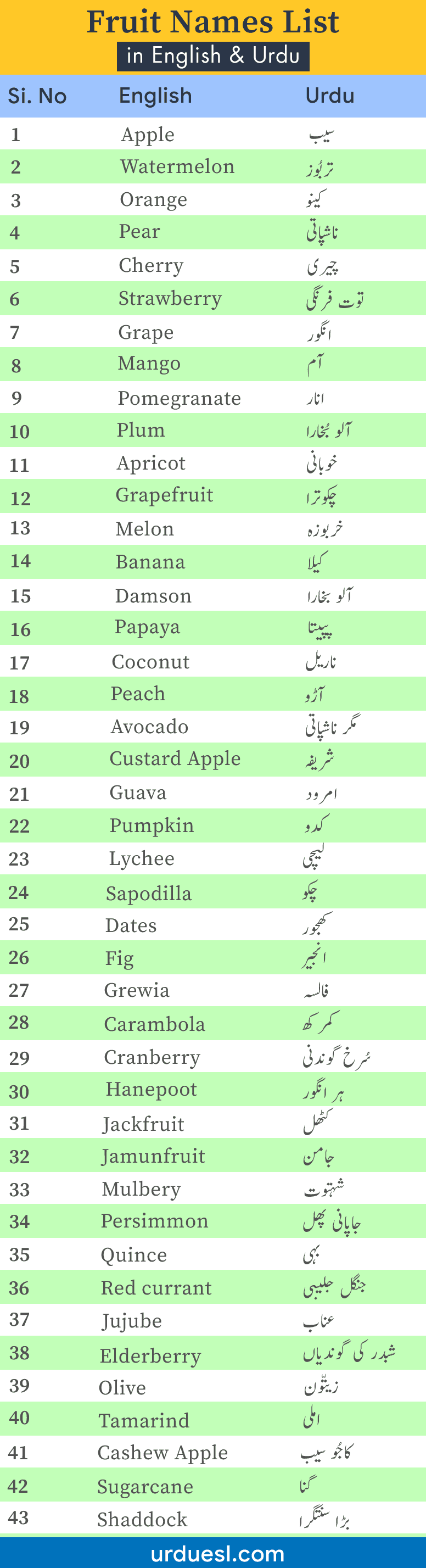 Featured image of post Steps to Make All Vegetables Name In English And Urdu Pdf