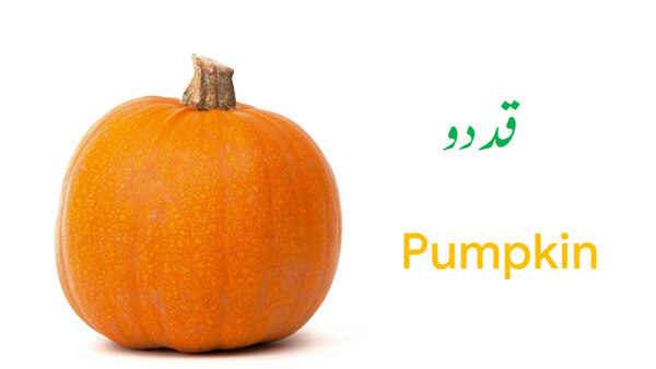 pumpkin in urdu