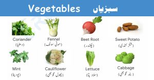 Read more about the article Vegetable Names in English and Urdu with Pictures – Download Pdf