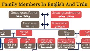 Read more about the article Family Members in English and Urdu – Family Tree for Kids