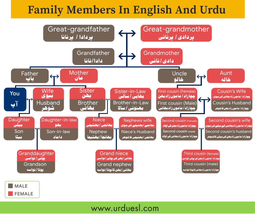 Download Family Members In English And Urdu Family Tree For Kids