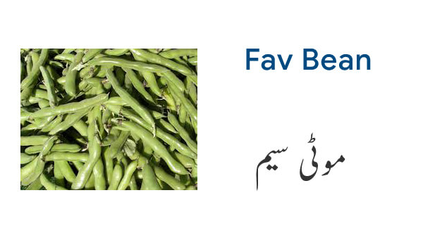 vegetable-names-in-english-and-urdu-with-pictures-download-pdf