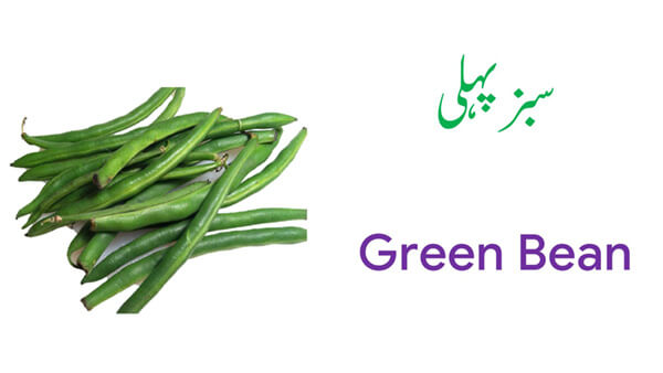 Meaning Of Bean In Urdu