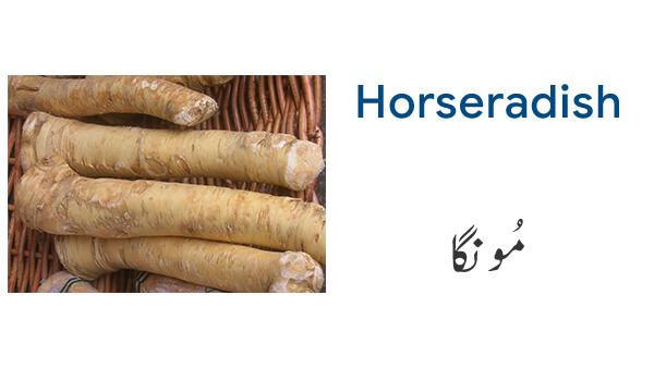 Vegetable Names in English and Urdu with Pictures ...