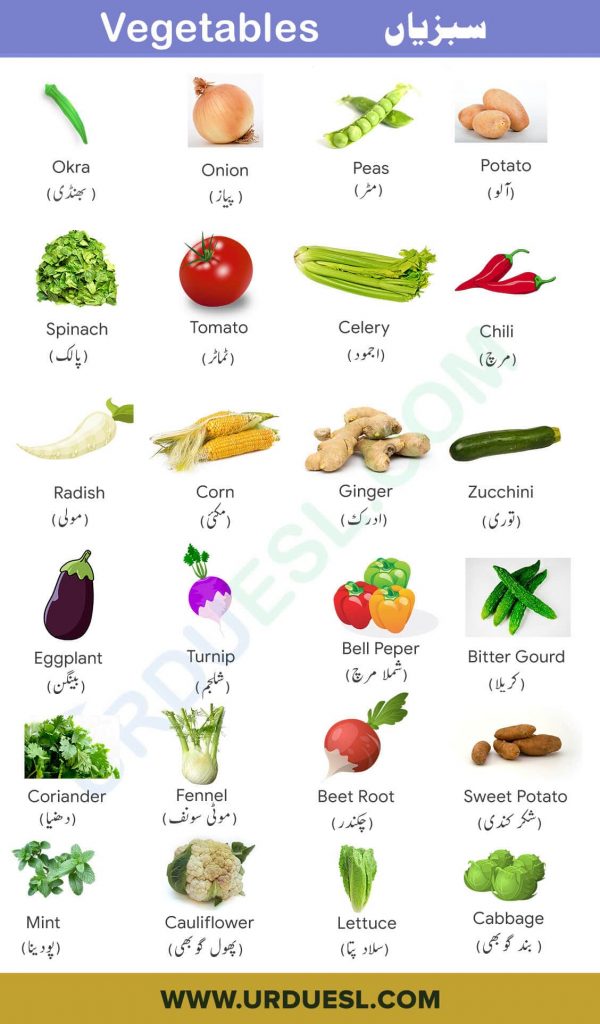 Featured image of post Steps to Prepare All Vegetables Name In English With Pictures