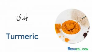 List Of Spices In English And Urdu With Pictures - Download Pdf