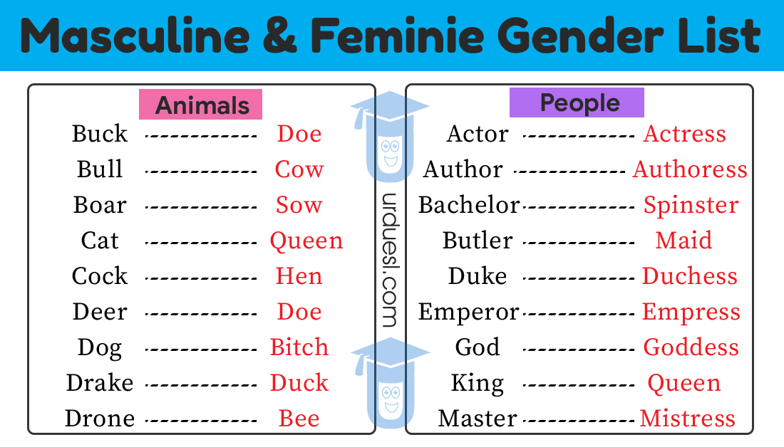 Gender list feminine List of