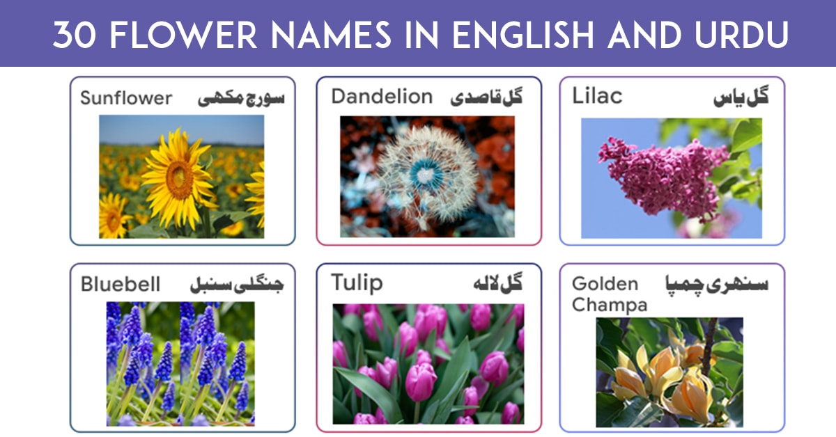 flowers and names