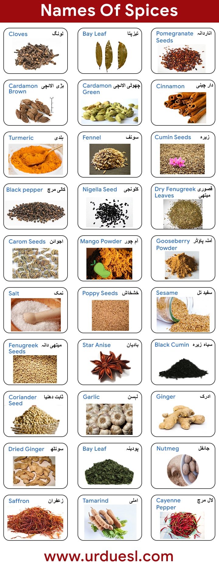 List Of Spices Names With Pictures 