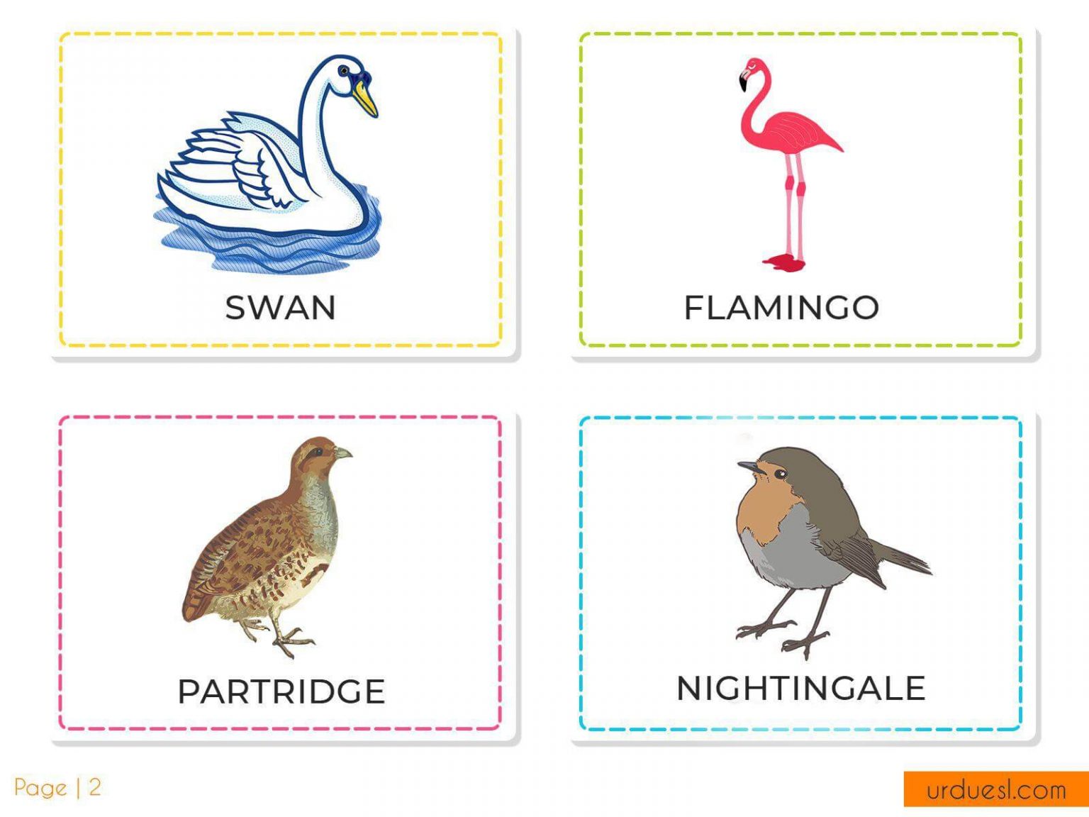 A To Z Bird Names List In English With Pictures - Download In Pdf