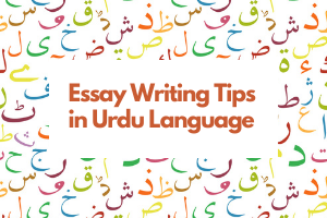 essay in urdu technology