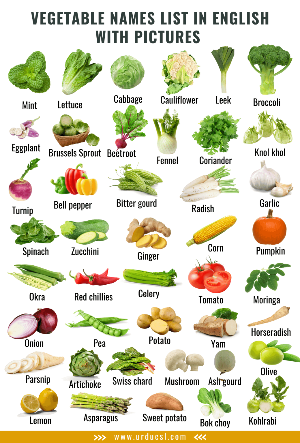 vegetables-names-a-z