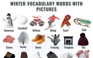 Read more about the article List of A to Z Winter Vocabulary Words with Pictures