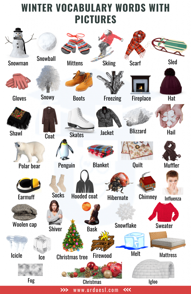 List of A to Z Winter Vocabulary Words with Pictures