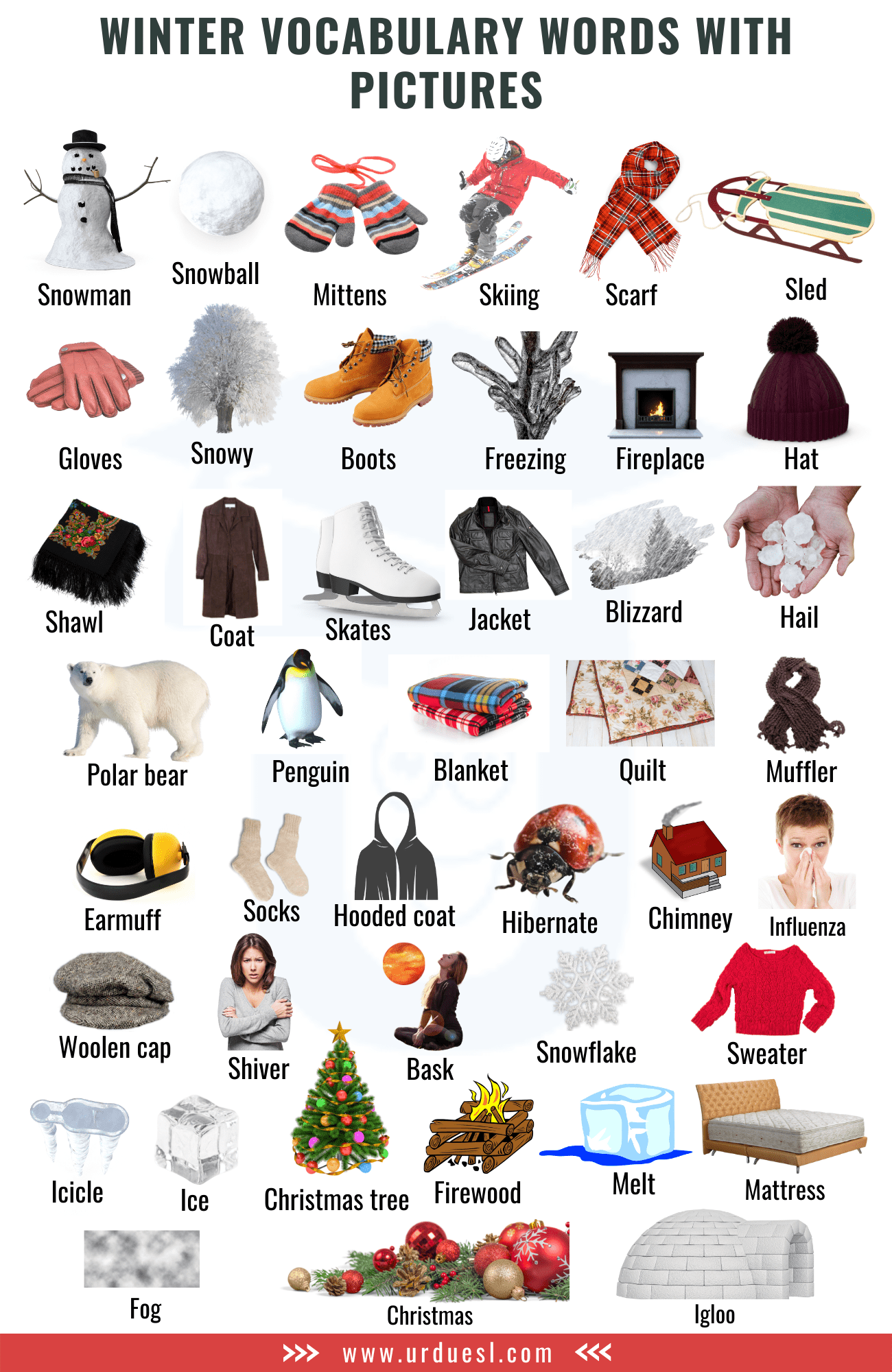 List Of A To Z Winter Vocabulary Words With Pictures