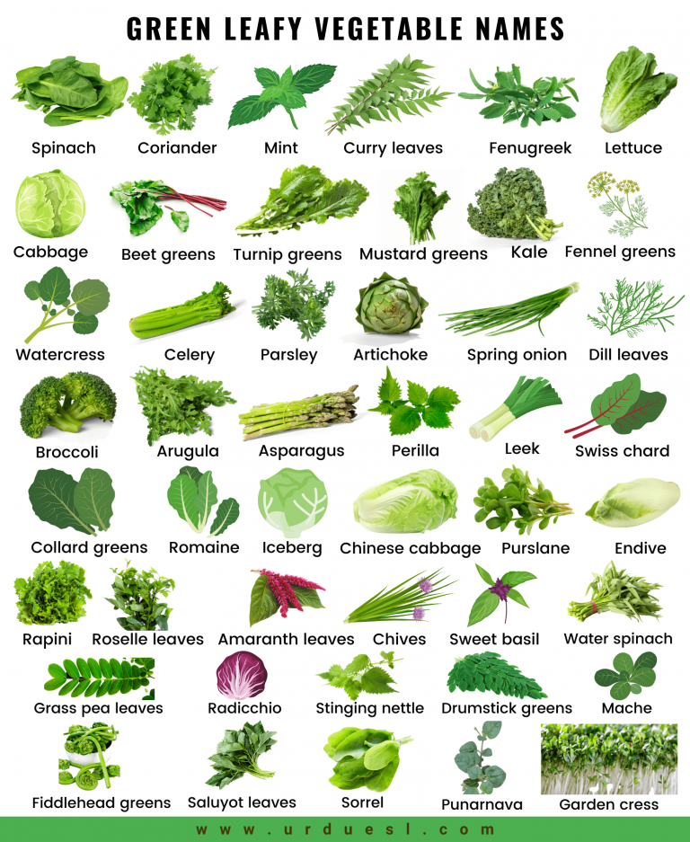 45-green-leafy-vegetable-names-with-pictures-and-their-benefits