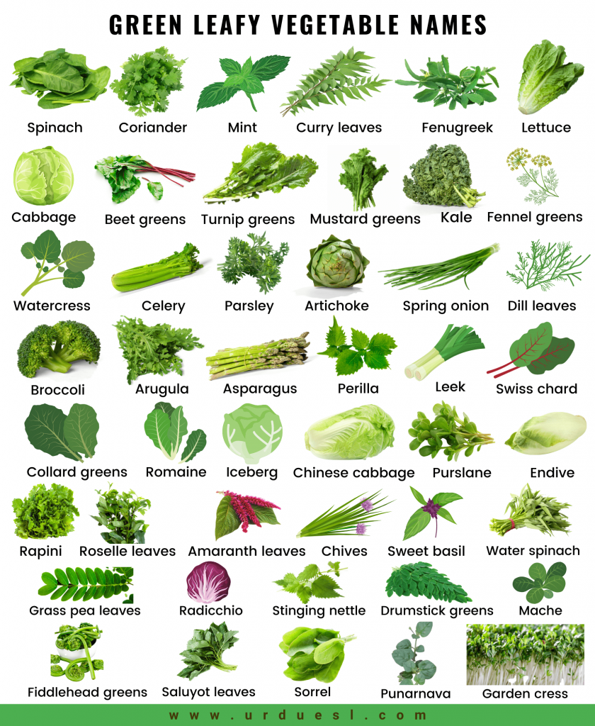 Names green vegetables Green Leafy
