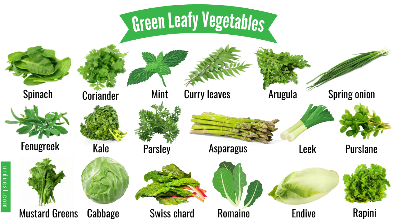 Read more about the article 45 Green Leafy Vegetable Names with Pictures and their Benefits