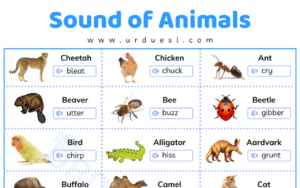 Read more about the article Sounds of Animals List with Words that Describe those Sounds