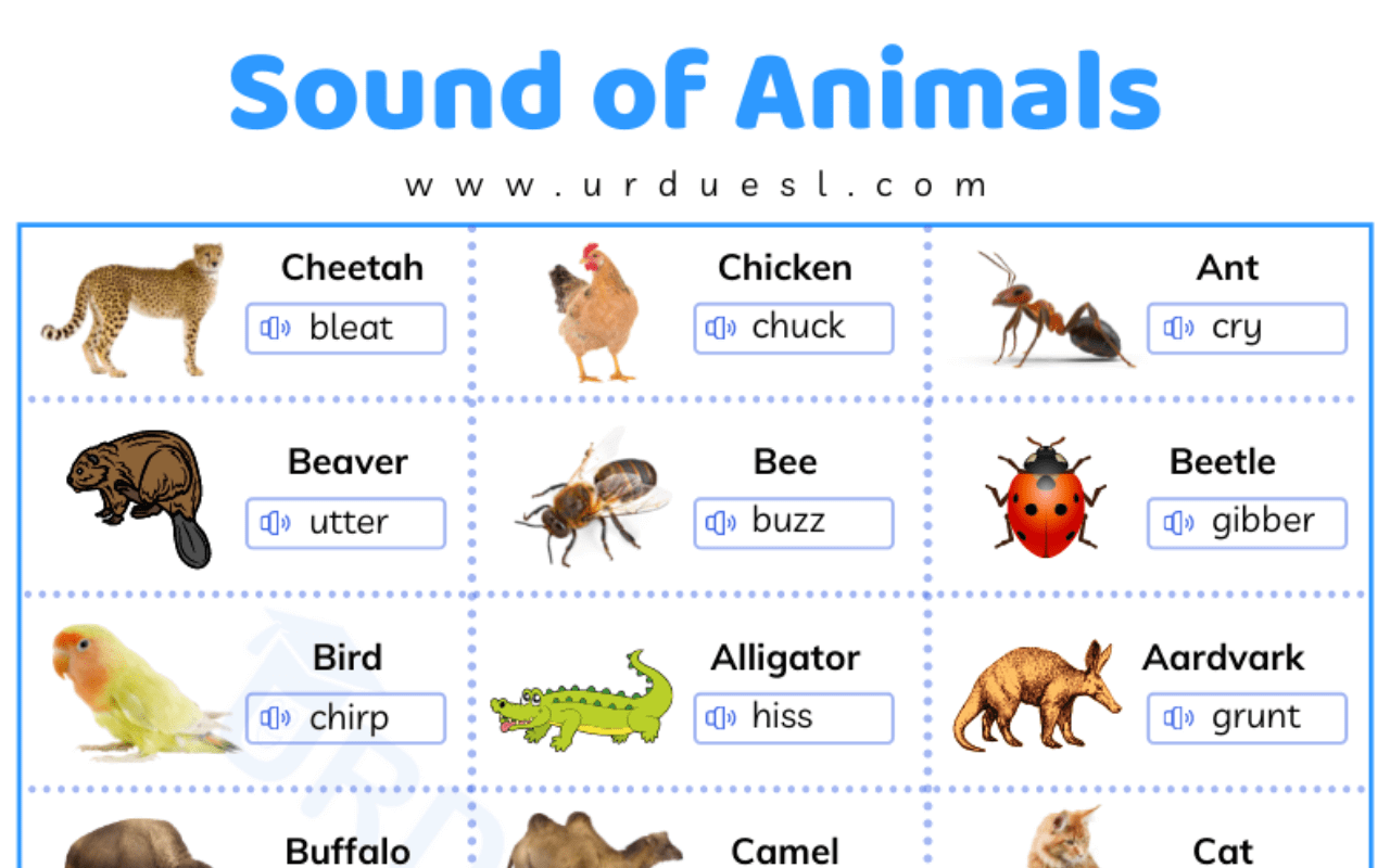 Sounds of Animals List with Words that Describe those Sounds