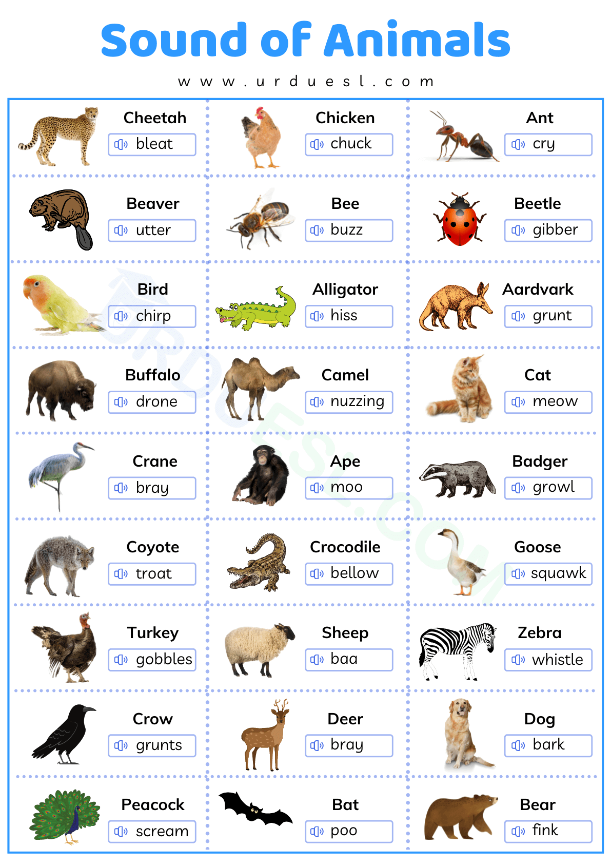 Animal sounds. Animals list. Animals Sounds. Animals+Sounds+list. Animal Sounds in English.