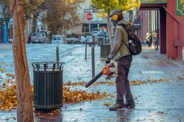Leaf blower