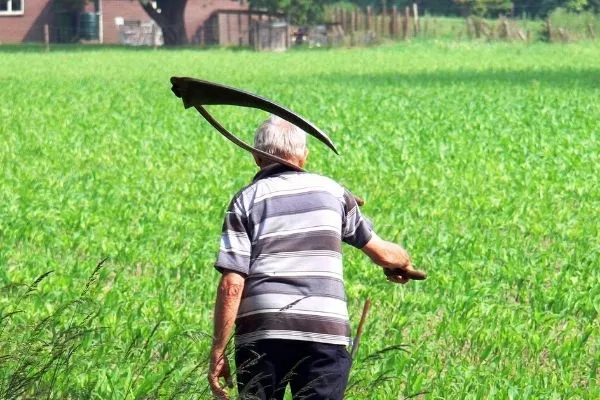 Scythe