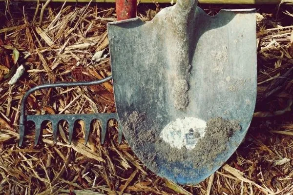 Shovel