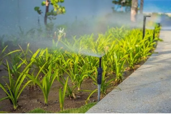 Sprinkler spreading water in a garden