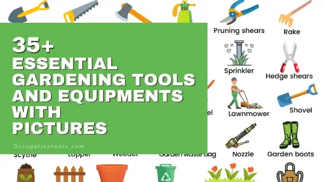 Read more about the article Gardening Tools Names: 35+ Essential Gardening Equipment with Pictures