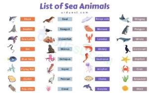 Read more about the article List of 85+ Sea and Aquatic Animal Names with Pictures