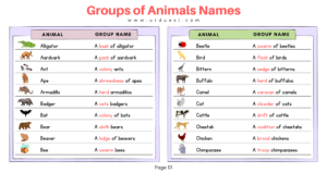 List Domestic Animals Names in English with Pictures