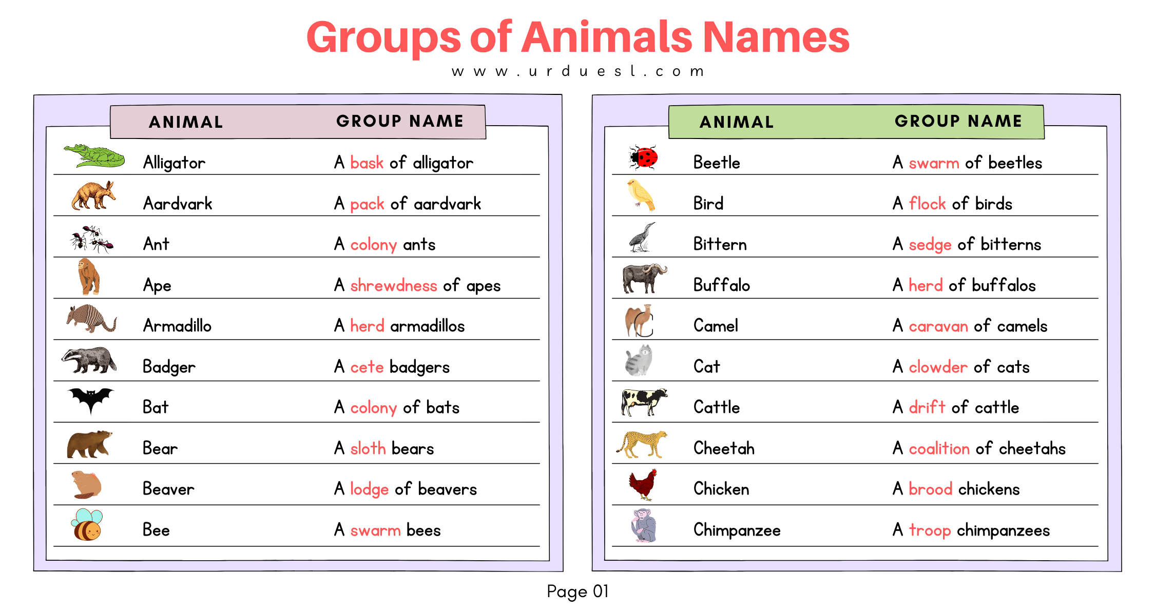 Read more about the article List of Groups of Animals Names and Download Pdf