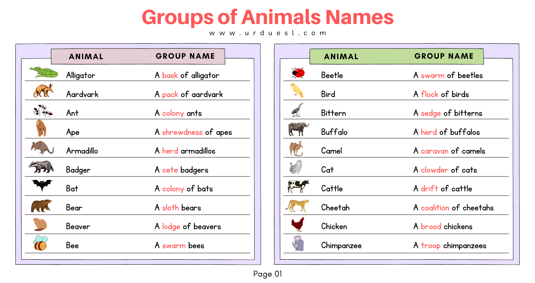 all animals names