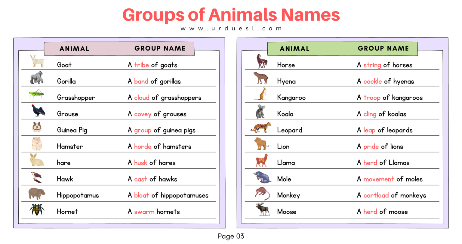 List of Groups of Animals Names with Images and Download Pdf