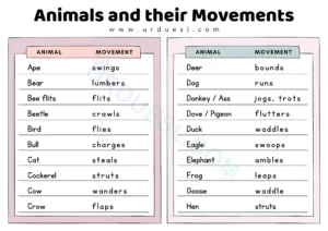 Read more about the article Animals and their Movements List with Chart
