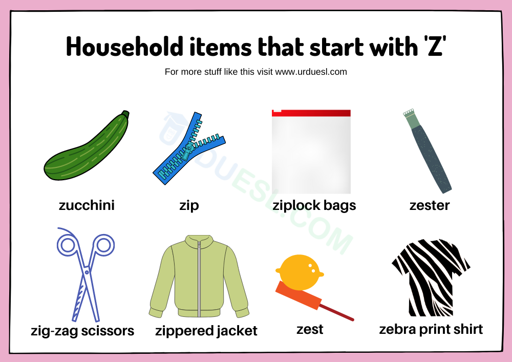 Read more about the article Household Items that Start with Z and Things that Begin with Z for Preschool