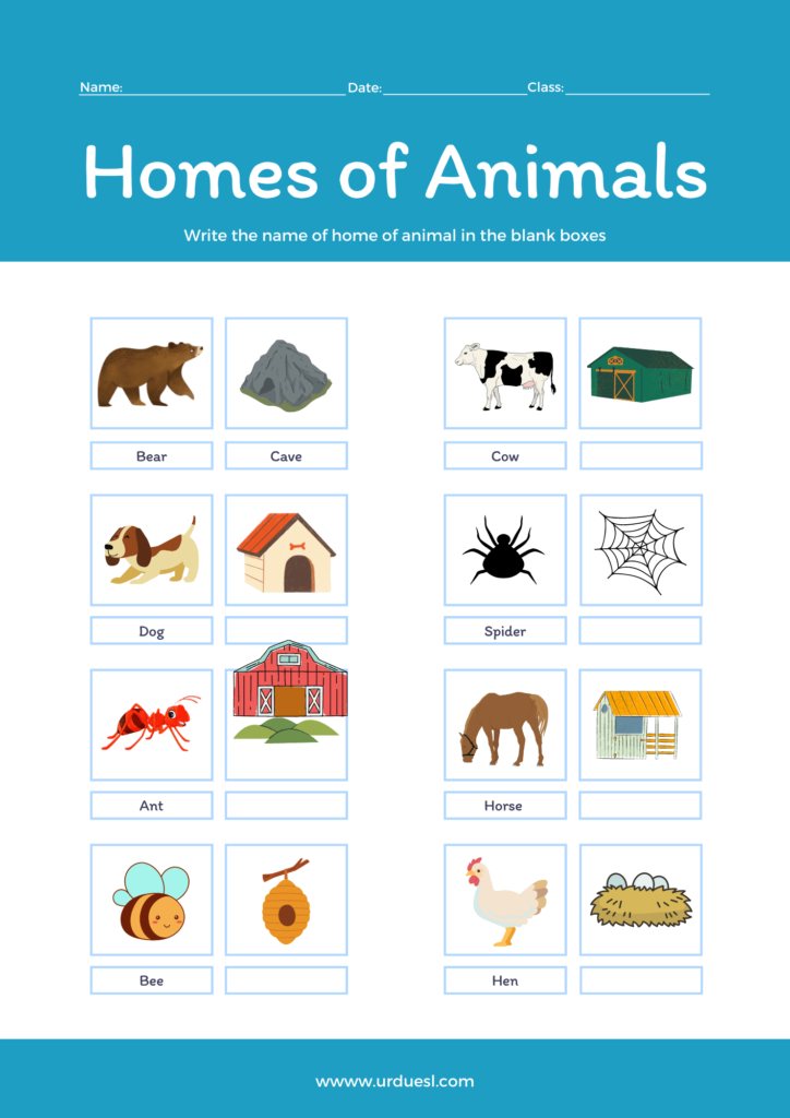 Homes of Animals with Names and Pictures - Download pdf