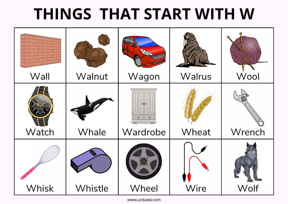 Read more about the article Things that Start with W for Preschool